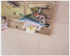  2025Ÿ510121 õ   1101-8 Ͻ1 2204ȣ     ǽڰ