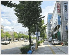  2025Ÿ��510640  ���ǽ��ڰ��