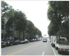  2025Ÿ510777 õ  ɰ 335-3 ԵǼ  2202ȣ    ټ,