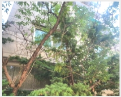  2025Ÿ510914 õ  ϵ 1084-12  ̵ 2202ȣ    ټ,