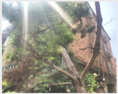  2025Ÿ511451 õ  ˾ϵ 640-5 뷺  2201ȣ    ټ,