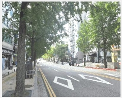  2025Ÿ��511484  ���ǽ��ڰ��