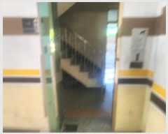  2025Ÿ511839 õ  ˾ϵ 636-1 ŸӸ5 4402ȣ     ټ,