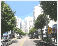  2025Ÿ��512202  �ټ���(����)���