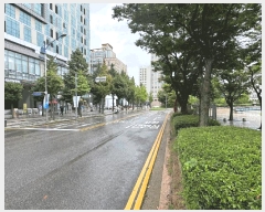  2025Ÿ��512246  ���ǽ��ڰ��