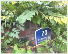  2025Ÿ��512260  ����Ʈ���