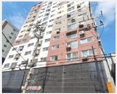  2025Ÿ��512523  �ټ���(����)���