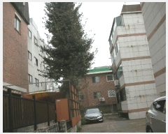  2025Ÿ��512659  �ټ���(����)���