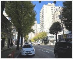  2025Ÿ��512697  ���ǽ��ڰ��