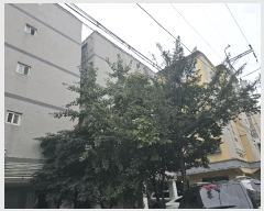  2025Ÿ��512783  �ټ���(����)���