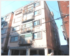  2025Ÿ��512929 ��õ ���� ������ 524-1 ����׸��� 3�� 2��202ȣ    �ټ���,������