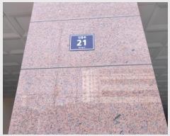  2025Ÿ��512987  ���ǽ��ڰ��