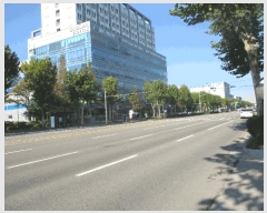  2025Ÿ��513238  ���ǽ��ڰ��