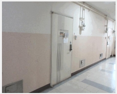  2025Ÿ��513466  ���ǽ��ڰ��