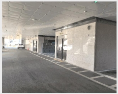  2025Ÿ��513830  ���ǽ��ڰ��