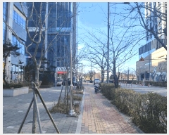  2025Ÿ��513923 ��õ ���� û�� 95-1 û��ť��ñ״�ó1�����ǽ��� 9��913ȣ     ���ǽ��ڰ��