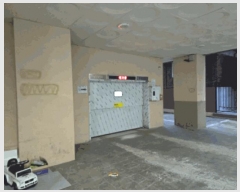  2025Ÿ��514234  ���ǽ��ڰ��