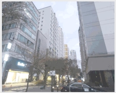  2025Ÿ��514259  ��������Ȱ���ð��