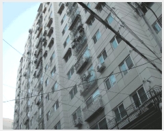  2025Ÿ��514267  ���ǽ��ڰ��