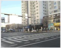  2025Ÿ��514276  ���ǽ��ڰ��