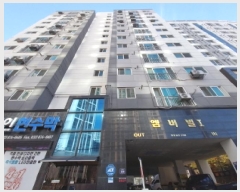  2025Ÿ��514276  ���ǽ��ڰ��