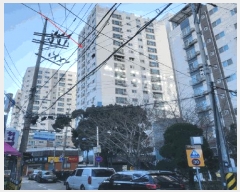  2025Ÿ��514859  �ټ���(����)���