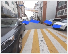  2025Ÿ��515037  ���ǽ��ڰ��