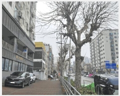  2025Ÿ��507226  ���ǽ��ڰ��