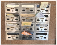  2025Ÿ��507337  ��������Ȱ���ð��