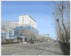  2025Ÿ��507642  ���ǽ��ڰ��