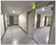  2025Ÿ507813 õ Ȧ ־ȵ 25-34 Ƽ 131316ȣ     Ʈ