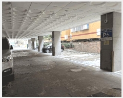  2025Ÿ507813 õ Ȧ ־ȵ 25-34 Ƽ 131316ȣ     Ʈ