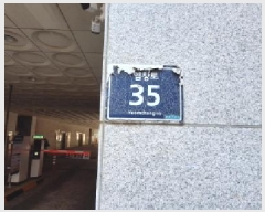  2025Ÿ507813 õ Ȧ ־ȵ 25-34 Ƽ 131316ȣ     Ʈ