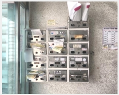  2025Ÿ��507967  �ټ���(����)���