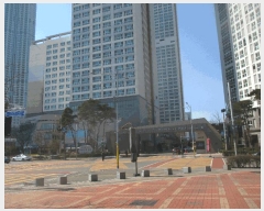  2025Ÿ��507994  ���ǽ��ڰ��