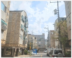  2025Ÿ��508559  �ټ���(����)���