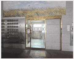  2025Ÿ508569 õ   377-5  9901ȣ     ǽڰ