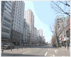  2025Ÿ508571 õ Ȧ ־ȵ 264-11 ص 5501ȣ     ǽڰ