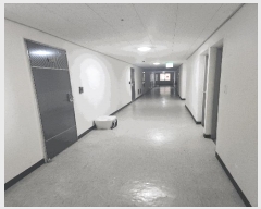  2025Ÿ509163 õ   1142-2 ݽ 10 1007ȣ    ǽڰ