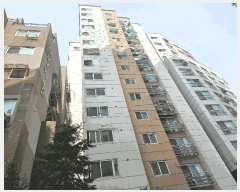  2025Ÿ��509204  ���ǽ��ڰ��