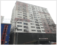  2025Ÿ��509417  ���ǽ��ڰ��