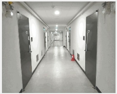  2025Ÿ��509523  ���ǽ��ڰ��