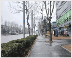  2025Ÿ��509523  ���ǽ��ڰ��