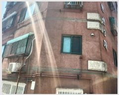  2025Ÿ��509573  �ټ���(����)���