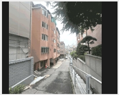  2025Ÿ��509716  �ټ���(����)���