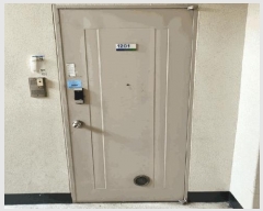  2025Ÿ��775  ����Ʈ���