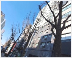  2025Ÿ��500713 ��õ ����Ȧ�� �־ȷ� 149, 3��303ȣ (�־ȵ�,���ٿ���ũ��)     ���ǽ��ڰ��