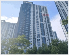  2025Ÿ��509771  ����Ʈ���