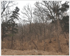  2025Ÿ��725 ��õ ��ȭ�� ������ ���� ��69      ����(�Ӿ�)���