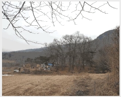  2025Ÿ��725 ��õ ��ȭ�� ������ ���� ��69      ����(�Ӿ�)���